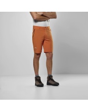 Spodenki męskie Salewa PUEZ TALVENO orange